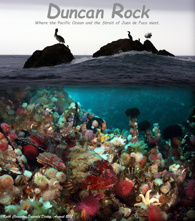 Duncan_Rock_Collage